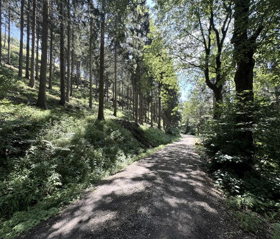 IMG_6767, &copy; Rureifel-Tourismus e.V., Dennis Winands