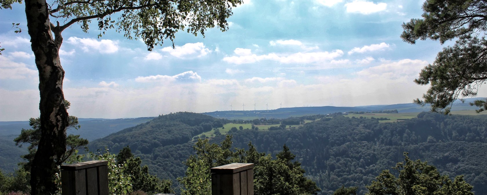 Vue sur l'Eifel Kuhkopf, © Rureifel-Tourismus e.V.