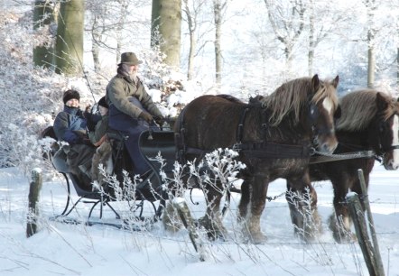 Bauershof, &copy; Friedrich Bauer