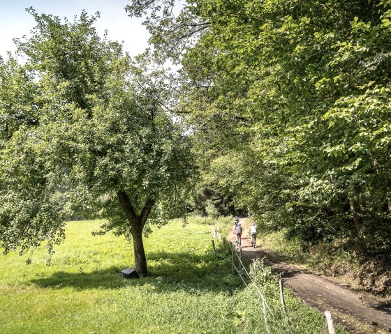 op de fiets door de Rur vallei, &copy; St&auml;dteRegion Aachen