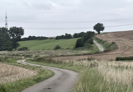 Wollersheimer M&uuml;hlenweg, &copy; Rureifel-Tourismus e.V., Michelle Wiesen