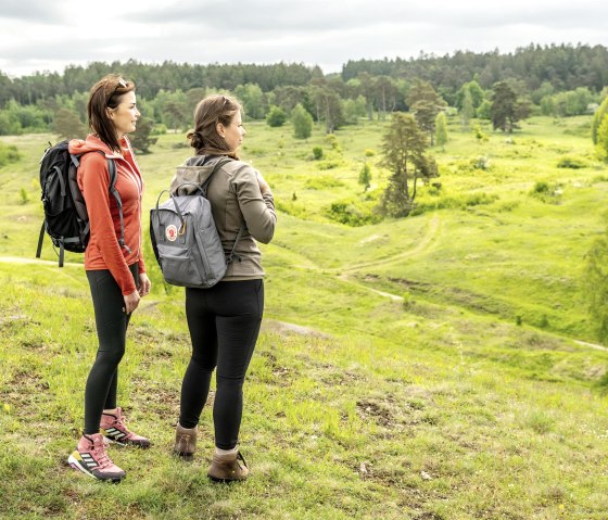 Wandern auf dem Schlangenberg, &copy; St&auml;dteregion Aachen, Dominik Ketz