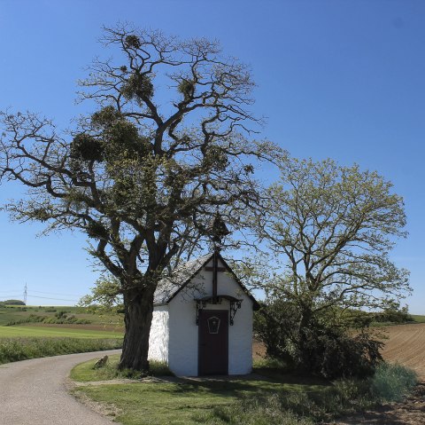 Chapelle Saint-Antoine