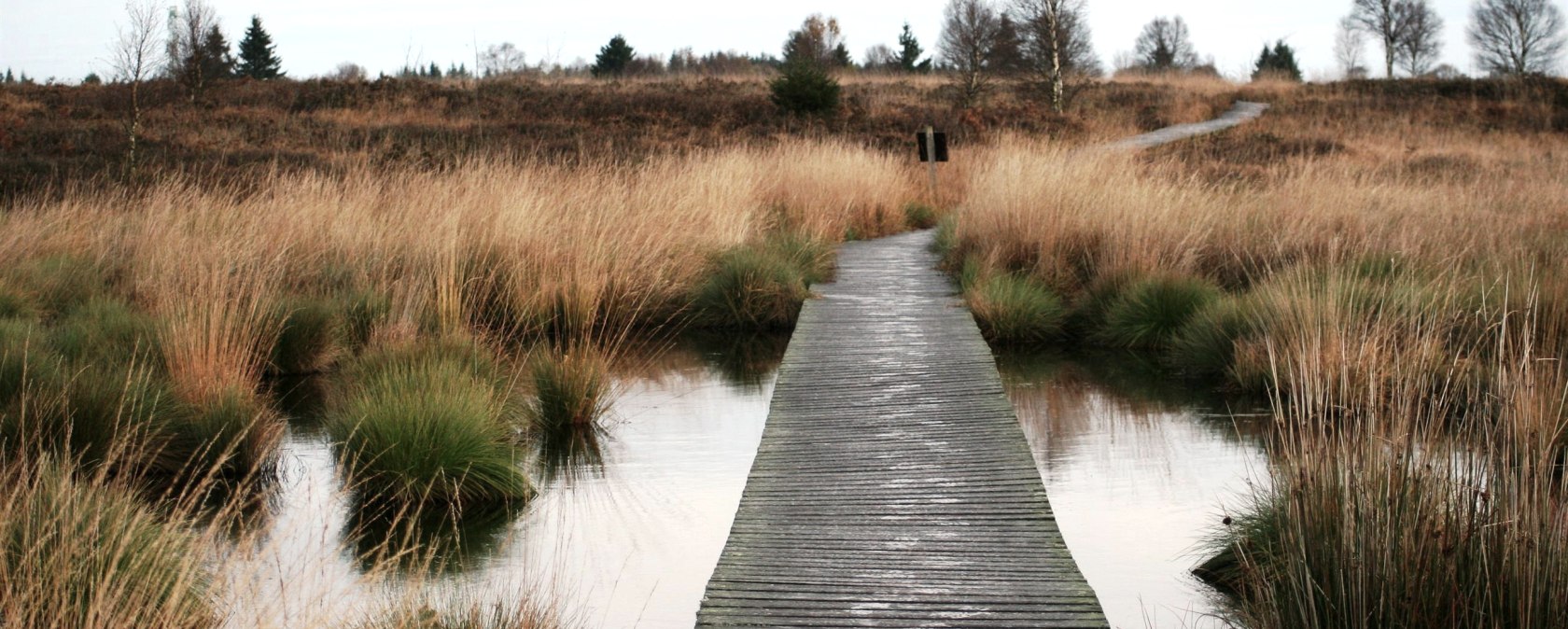 Steg, &copy; Monschau Touristik GmbH - Heike Becker