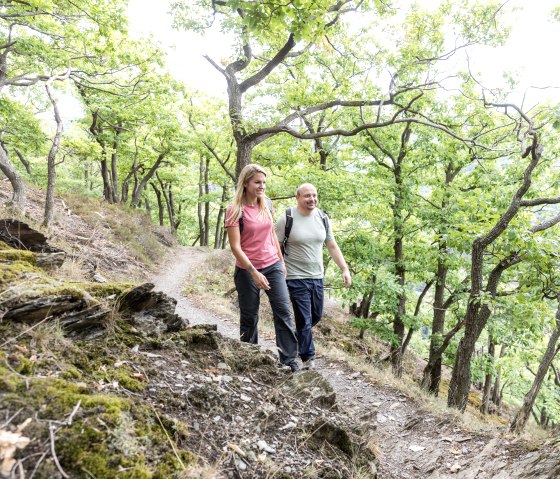 Randonnée à travers des chênes noueux sur le Meuchelberg, © Eifel Tourismus GmbH, AR-shapefruitAG