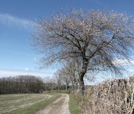 Wanderweg, &copy; Guido Hendle
