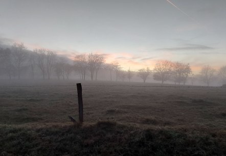 Winterstimmung Nebel Langschoss(co) Thei&szlig;en-Braun