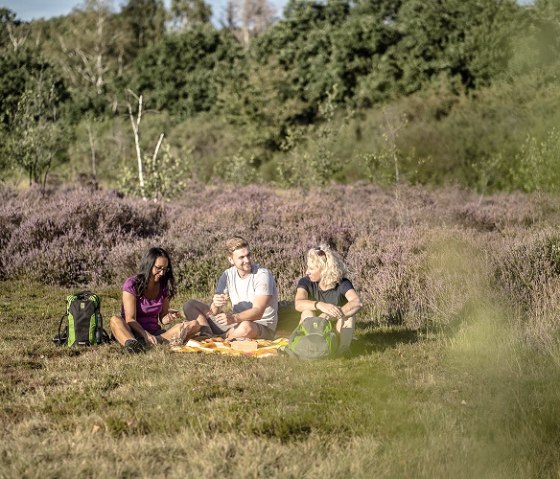 Picknick op de heide van Dover, © Kreis Düren_Dennis Stratmann