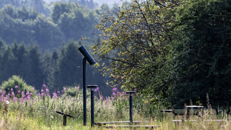 Eine malerische Landschaft mit bunten Wildblumen und Bäumen im Hintergrund. Im Vordergrund stehen einige Informationspulte zur Beobachtung der Natur.