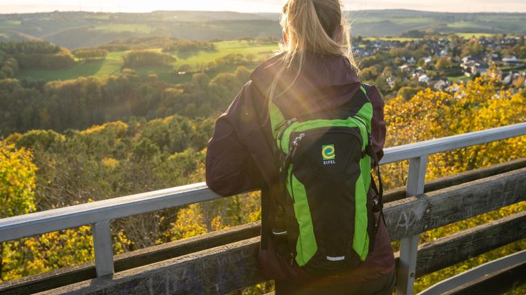Eine Person steht an einer Aussichtsplattform und schaut auf die herbstliche Landschaft. Im Hintergrund sind sanfte Hügel und ein klarer Himmel sichtbar.