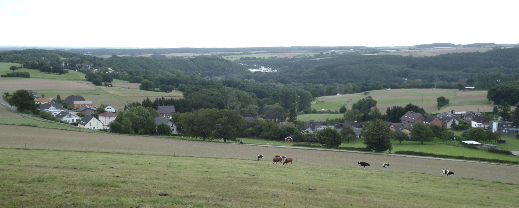 Eifel-Blick "Schafsbenden", © Rureifel-Tourismus e.V.