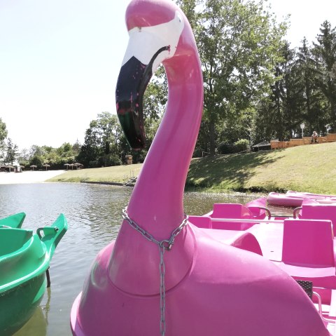 Badesee Echtz Tretboot, &copy; WIN.DN GmbH, Foto: Angela Wolter