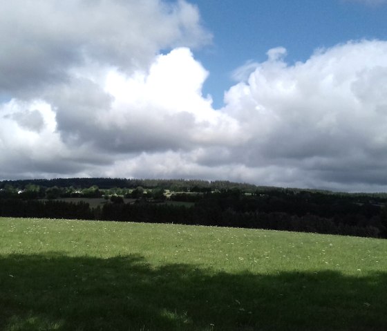 Sommeraussicht (co) Thei&szlig;en-Braun