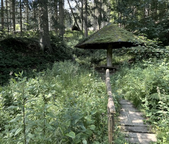 IMG_6686, © Rureifel-Tourismus e.V., Dennis Winands