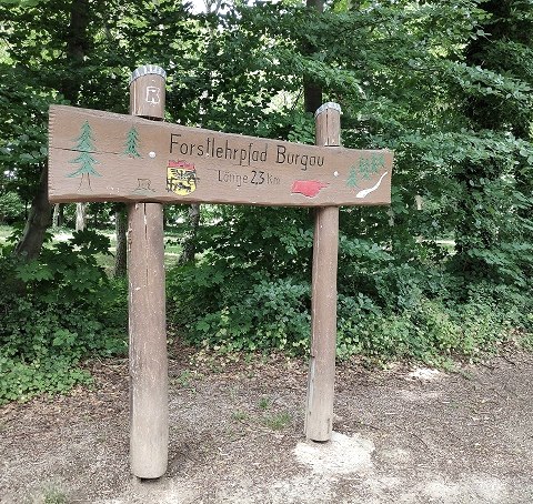 Forest nature trail in the forest of Burgau Castle, © Sophia Eckerle