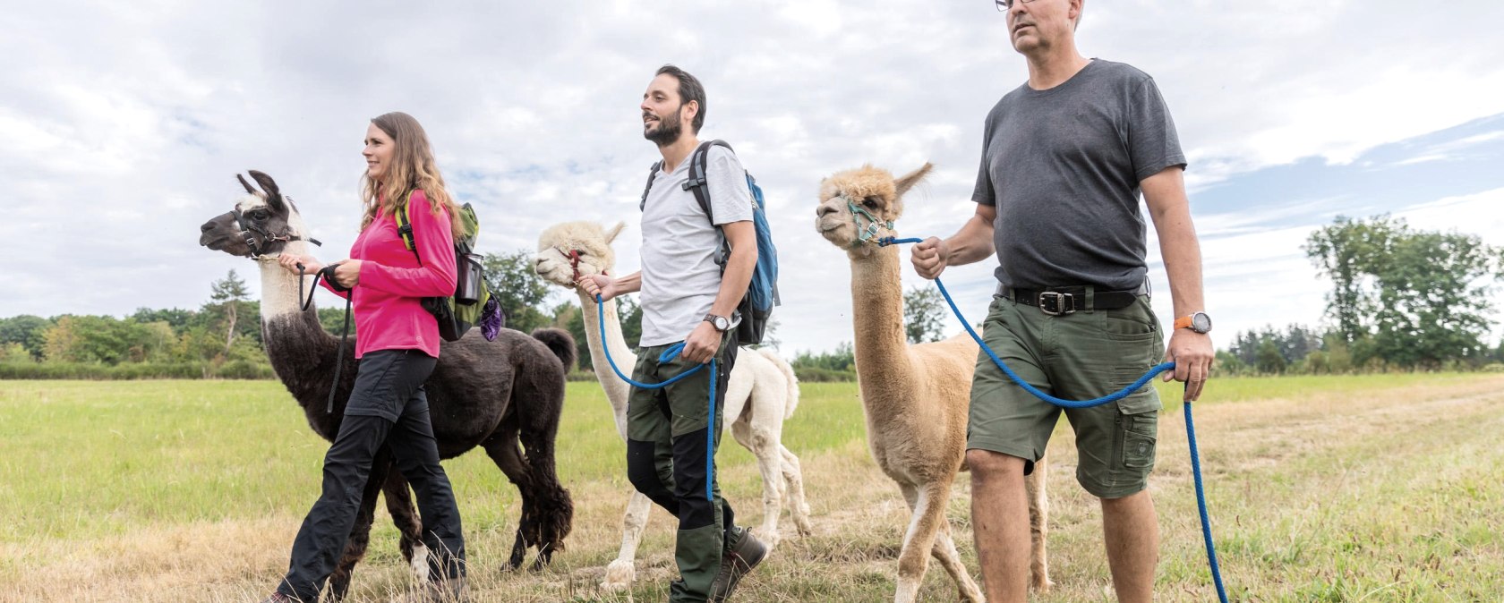 Alpaka und Lama Wanderung, © Eifel Tourismus GmbH, AR - shapefruit AG