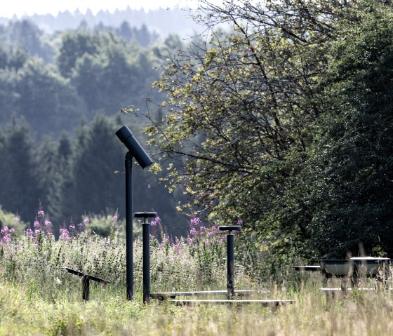 SternenBlick in H&ouml;fen, &copy; Nils N&ouml;ll