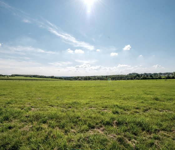 Weide, &copy; some.oner