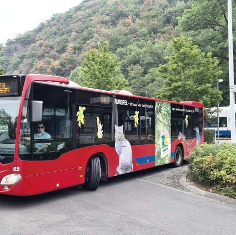 De Rurtalbus, © Rath-Gruppe