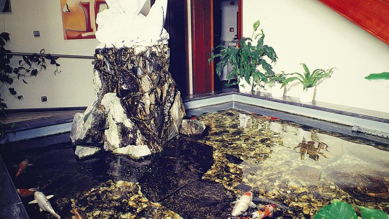 Ein dekorativer Innenbrunnen mit einer Skulptur und bunten Koi-Fischen. Umgeben von Pflanzen und einer modernen Einrichtung.