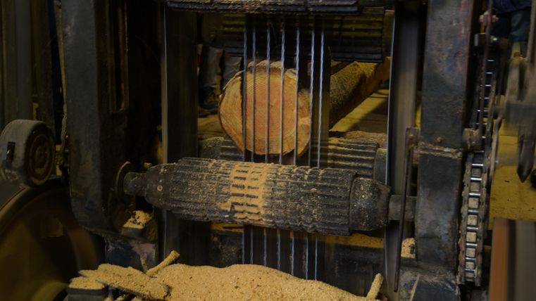 Eine Holzmaschine verarbeitet Baumstämme. Späne und Rinde liegen auf dem Boden.