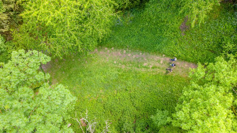 Wandern im Kellenberger Wald
