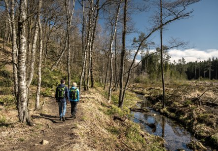 Wanderung, &copy; St&auml;dteregion Aachen, Dominik Ketz