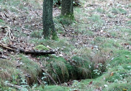 Alter Sch&uuml;tzengraben am Wegesrand, &copy; Bert van London
