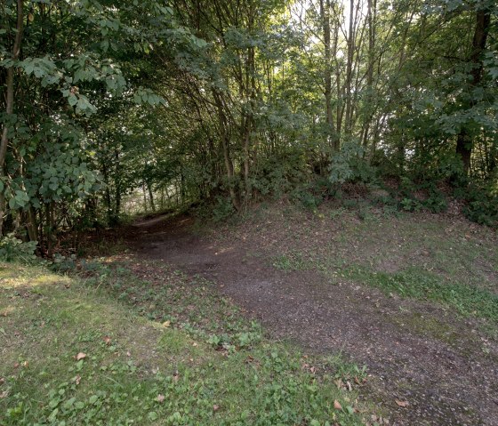 Parcours en for&ecirc;t, &copy; some.oner