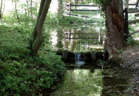 Helje Pötz in der Drover Heide, © Rureifel-Tourismus e.V.