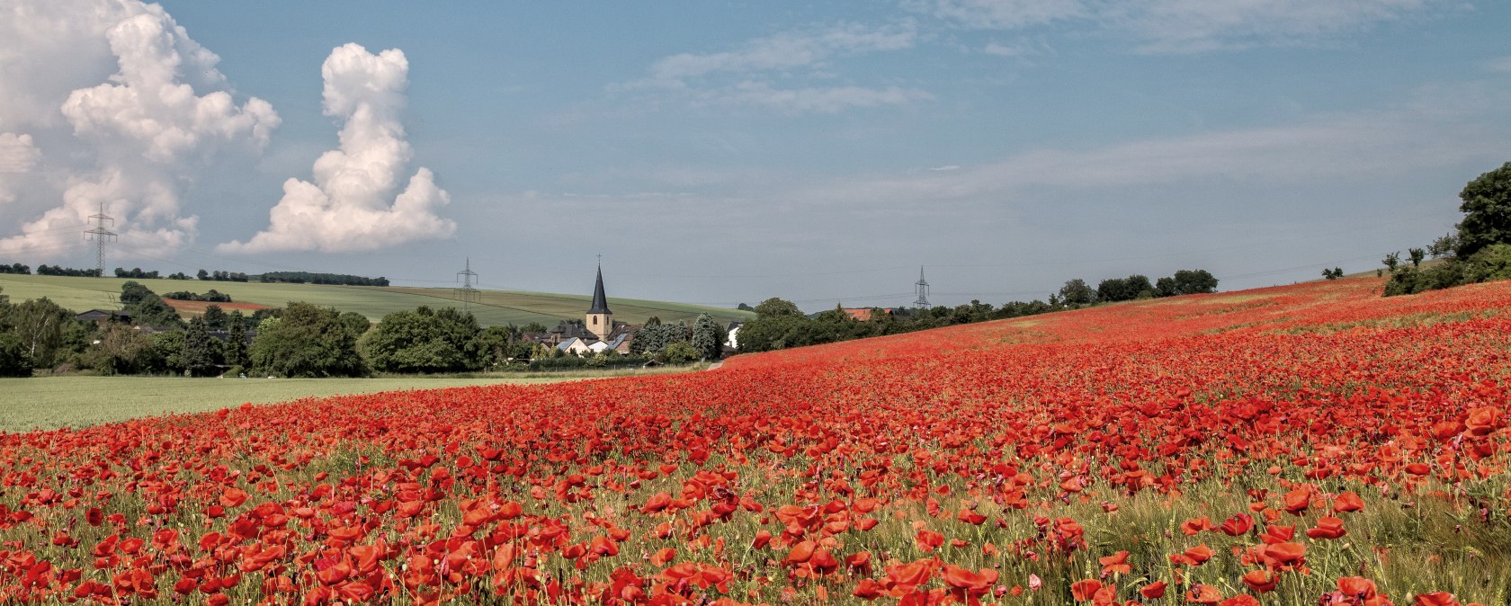 Vue sur Muldenau