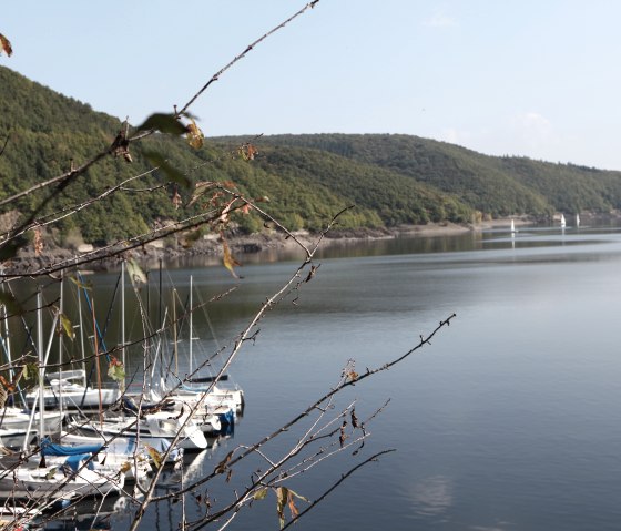 Navigateurs sur le lac