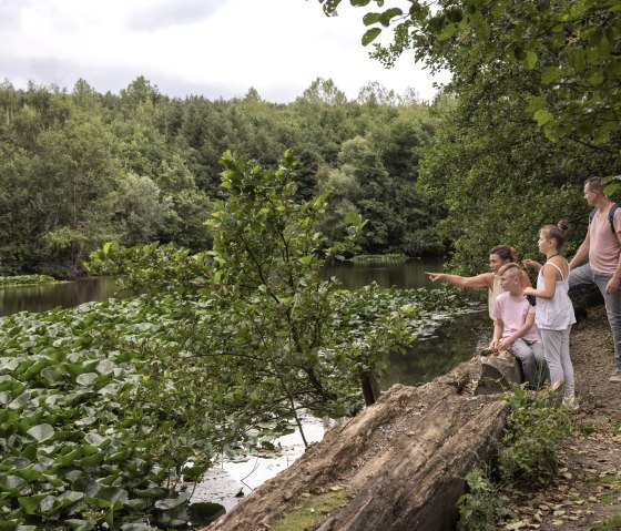 Auf der Spur der Haselmaus Sophie am Inselsee auf der Sophienh&ouml;he im Rheinischen Revier, &copy; Tobias Vollmer | Eifel Tourismus GmbH