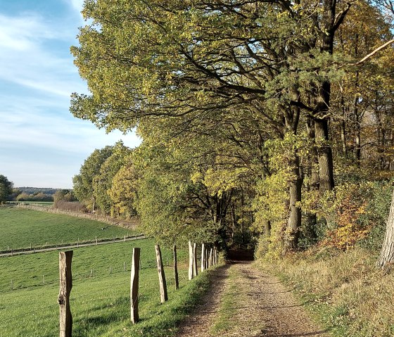 Lehmj&ouml;res Aussicht September-Oktober (co) Thei&szlig;en-