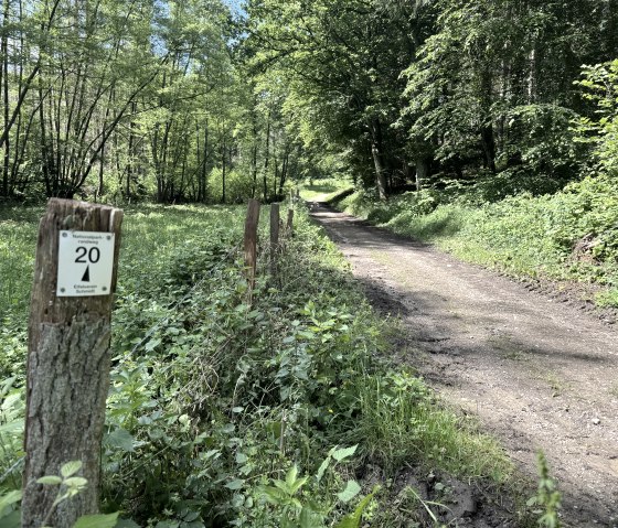 Wanderweg Nr. 20 Beschilderung, &copy; Rureifel-Tourismus e.V., Dennis Winands