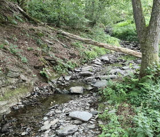 lively murmuring Richelsbach