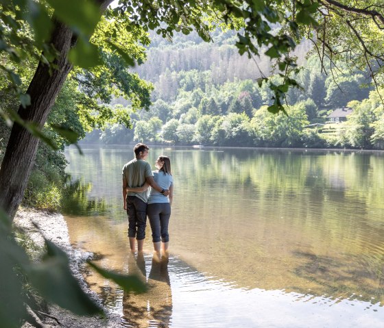 Dschungelpfad am Heimbacher Staubecken, &copy; Eifel Tourismus (ET) GmbH, AR-shapefruit AG