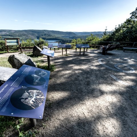 Informationstafel, &copy; Nils N&ouml;ll