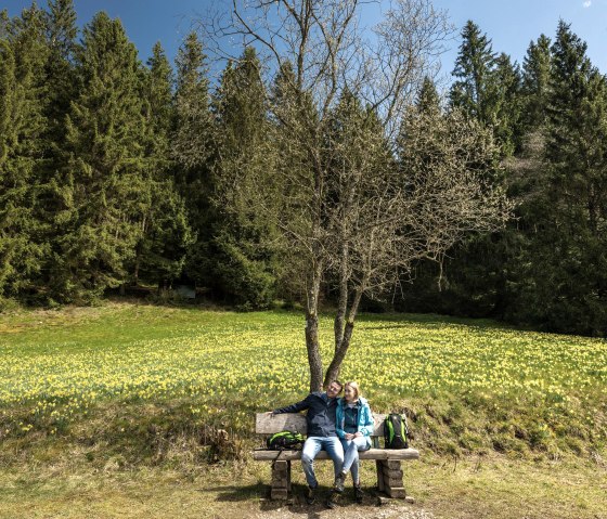 Rast auf der Narzissenroute, &copy; Eifel Tourismus GmbH, Dominik Ketz
