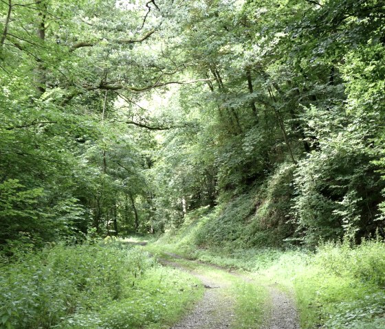Weidenbachtal, &copy; Eifel heimisch