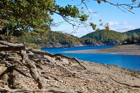 Ein schöner See mit klarem blauen Wasser und ruhigen Uferbereichen. Im Vordergrund sind Wurzeln und Bäume zu sehen.