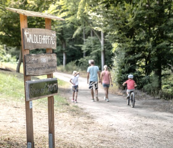 Vom Waldspielplatz Richtung Waldlehrpfad, &copy; Gr&uuml;nmetropole - Dennis Stratmann