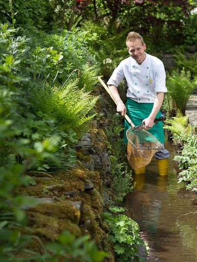 Ein Mann steht im Wasser eines kleinen Baches und fängt mit einem Netz etwas. Um ihn herum wachsen viele grüne Pflanzen.