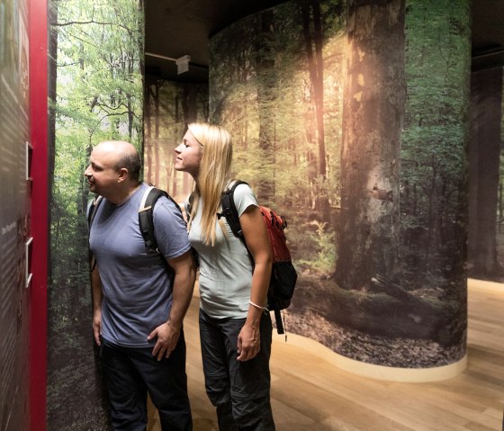 Ausstellung "Waldgeheimnisse" im NLP Tor, &copy; Eifel Tourismus GmbH, AR, Shapefruit AG
