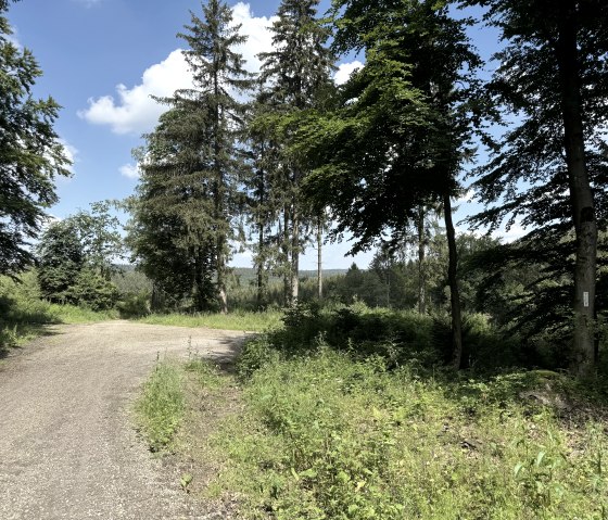 IMG_6642, © Rureifel-Tourismus e.V., Dennis Winands