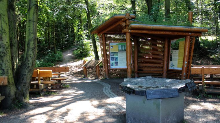 Ein Innenbereich im Wald mit einem hölzernen Informationspavillon. Es gibt Bänke und einen kleinen Tisch, um die Natur zu genießen.