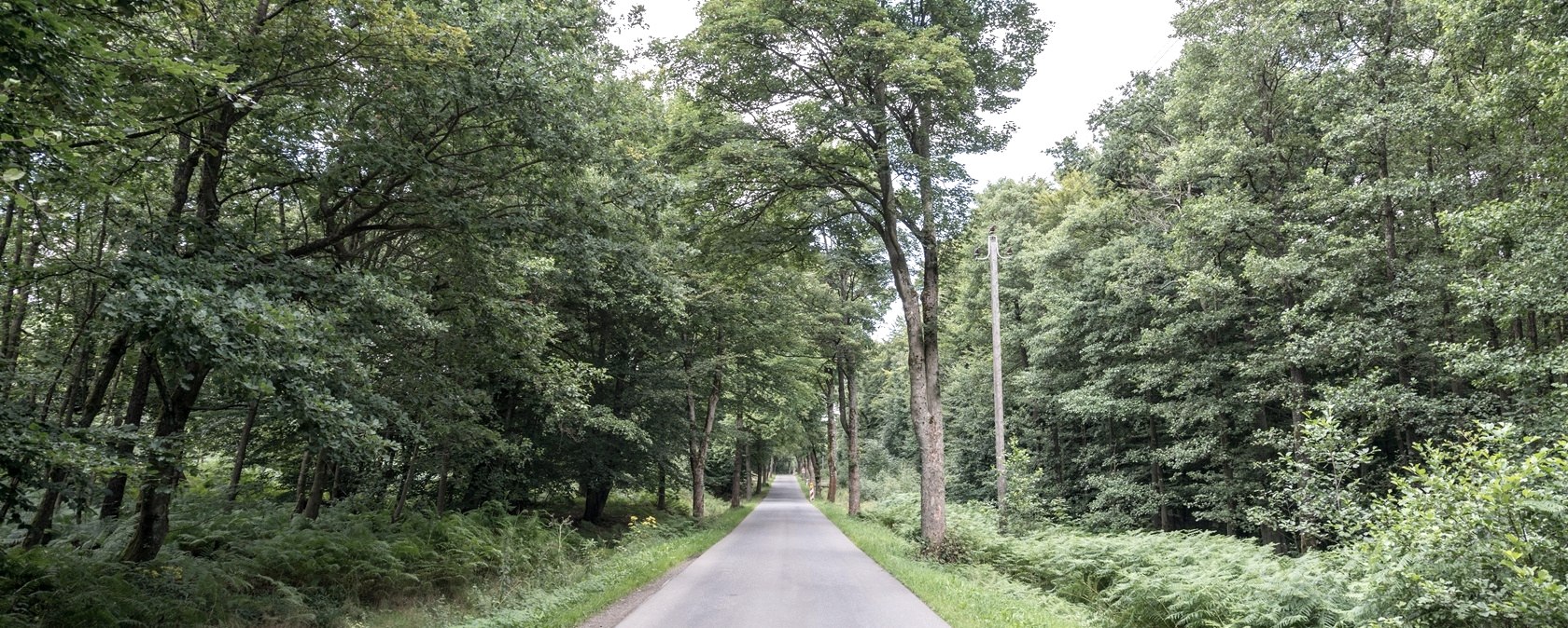 Rustig gedeelte, &copy; some.oner