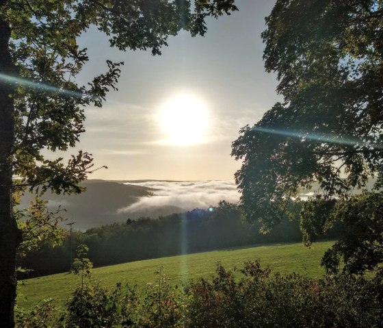 Eifel-Blick Jugendherberge Herbstnebel, &copy; Rursee-Touristik GmbH