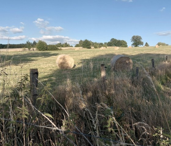 Heuballen Sommerhimmel (co) Thei&szlig;en-Braun