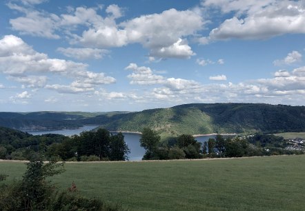 Rurseeaussicht Juli-Augsut (co) Thei&szlig;en-Braun